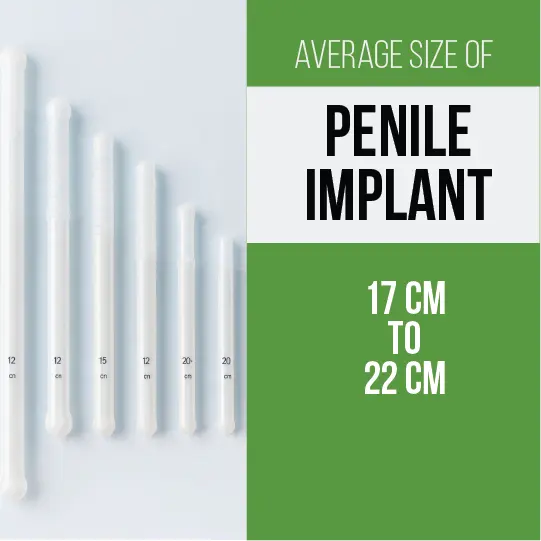 Various penile implant sizes displayed, ranging from 17 cm to 22 cm in length