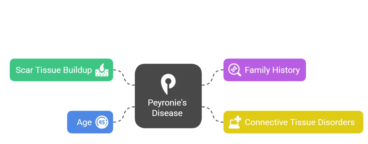 peyronie disease causes