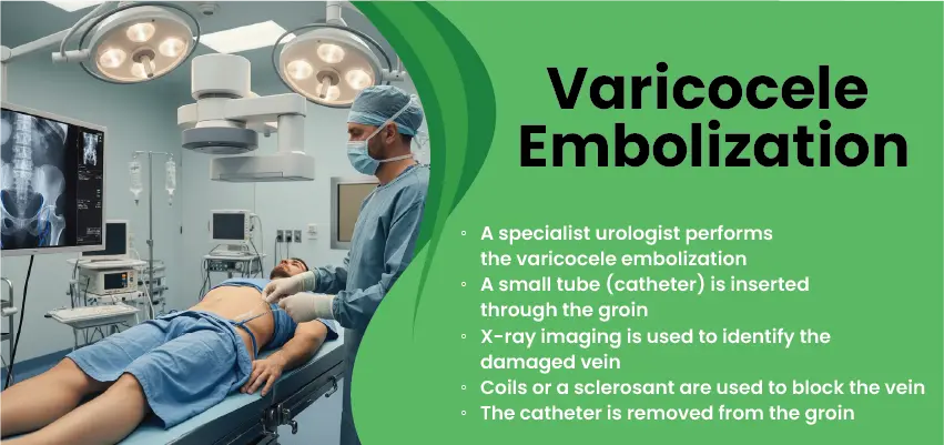 Medical procedure showing varicocele embolization treatment performed by urologist in operating room